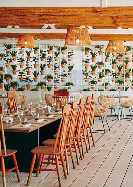 Barceló Portinatx - Adults Only 23