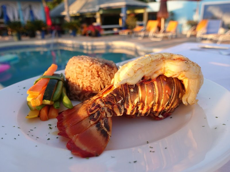 Negril Palms Hotel 25