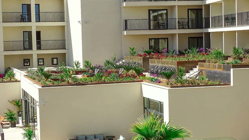 Paradiso Garden Hotel 6