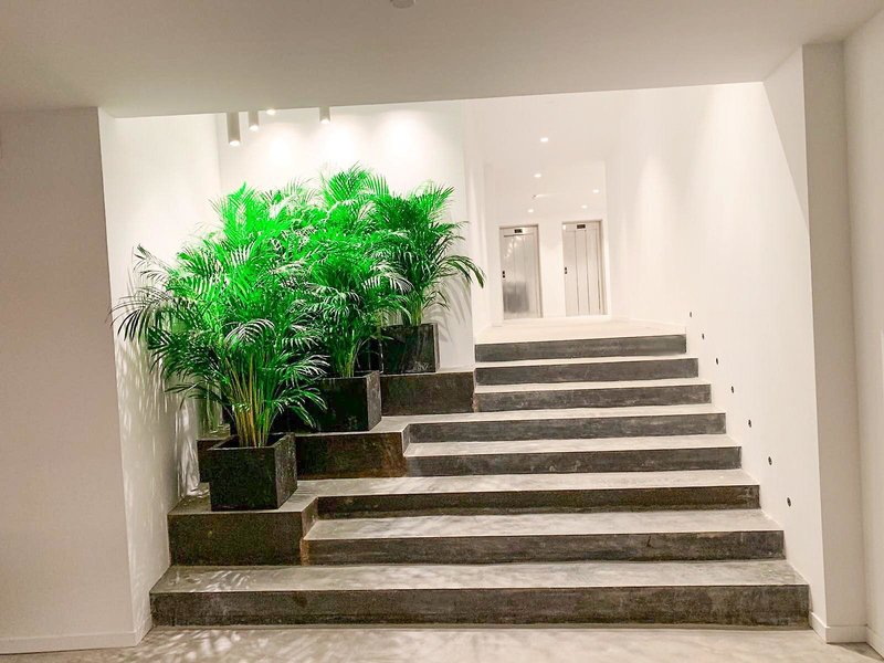 Paradiso Garden Hotel 7