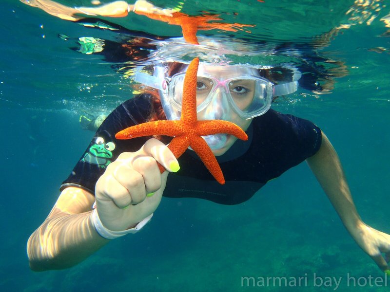 Marmari Bay 36