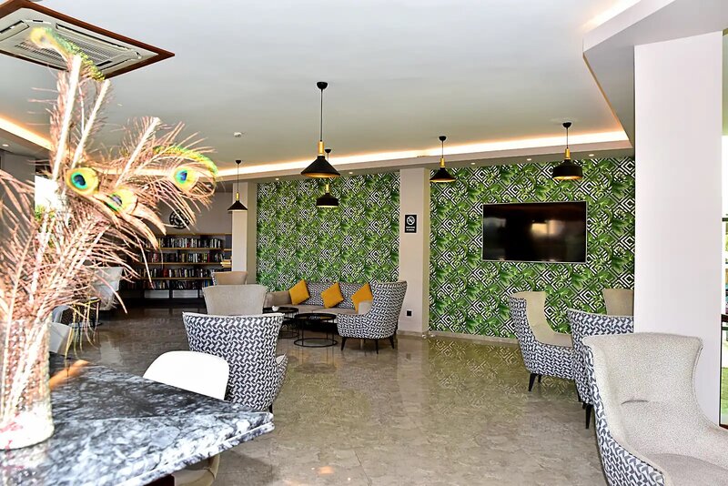 Parkim Ayaz 6