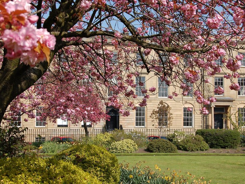 Blythswood Square 5
