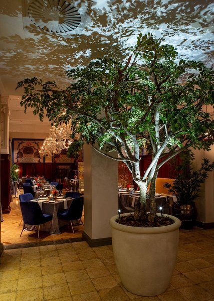 Taj Cape Town 13