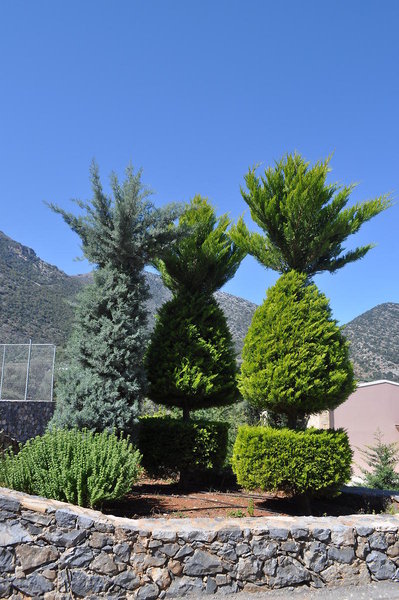 Filion Suites Resort & Spa 5
