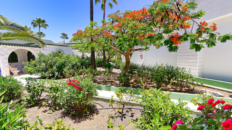 Parque del Paraiso II 17