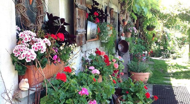 Gasthof Mohren 5