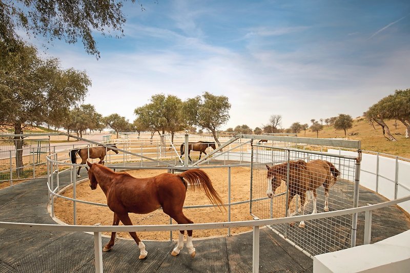 The Ritz-Carlton Ras Al Khaimah, Al Wadi Desert 33