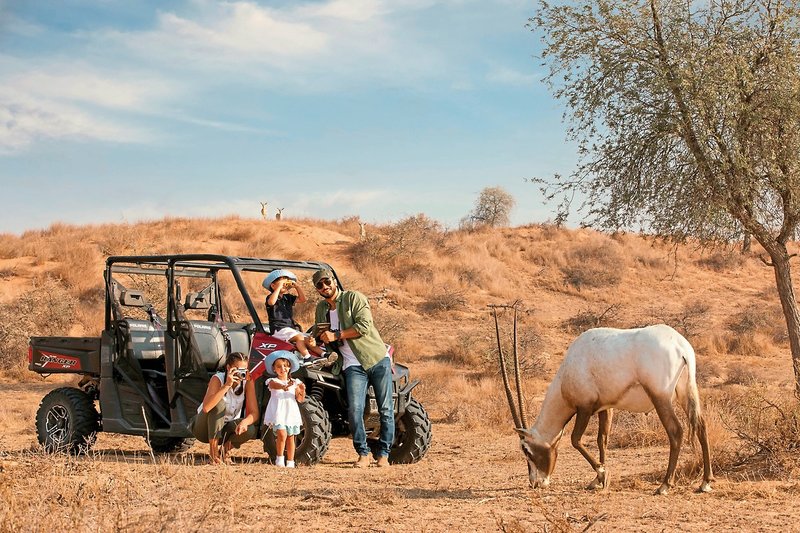 The Ritz-Carlton Ras Al Khaimah, Al Wadi Desert 32