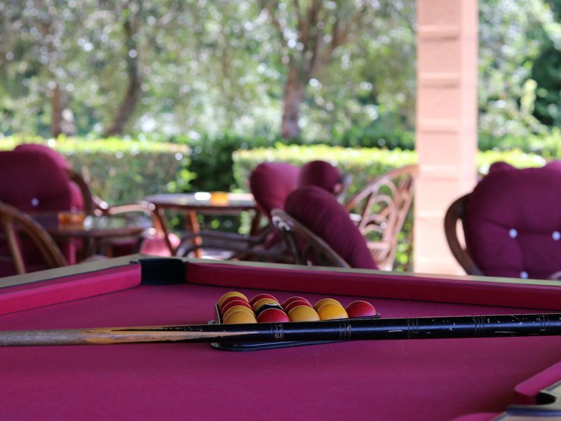 Pegasus 35 - Sports and leisure