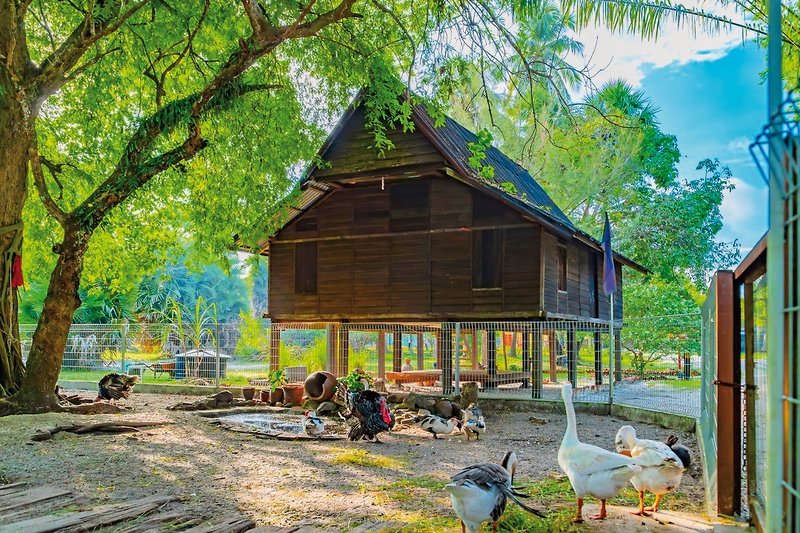 Meritus Pelangi Beach Resort & Spa 29