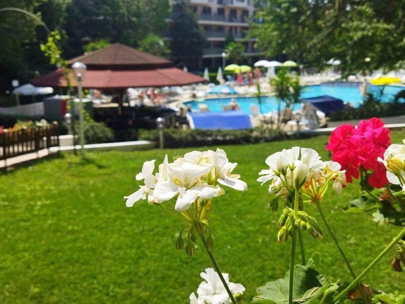 Perla Golden Sands 10