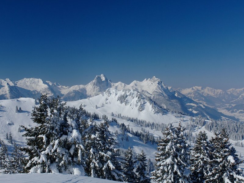 Golfhotel Les Hauts de Gstaad & Spa 6