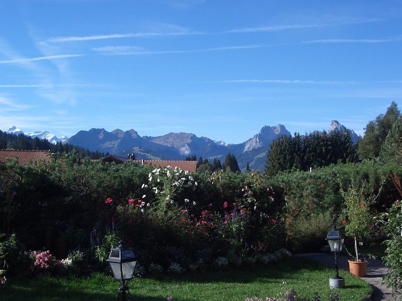 Golfhotel Les Hauts de Gstaad & Spa 8