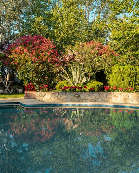 Petrino Suites Hotel 12