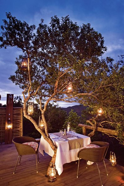 @Beyond - Phinda Private Game Reserve 23
