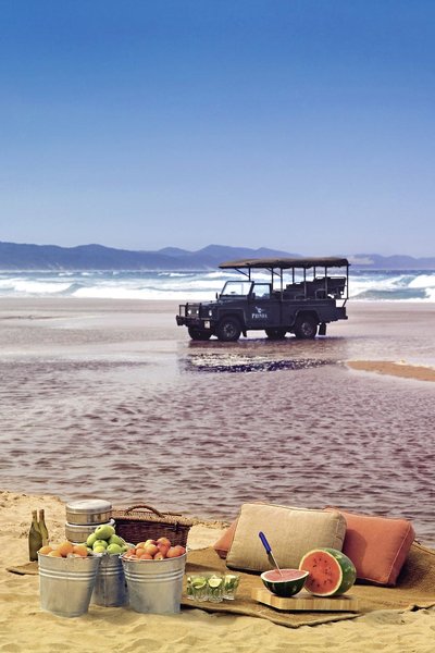 @Beyond - Phinda Private Game Reserve 28