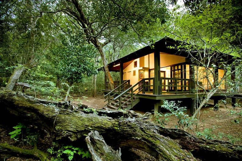 @Beyond - Phinda Private Game Reserve 39