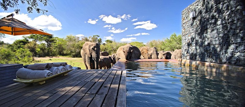 @Beyond - Phinda Private Game Reserve 40