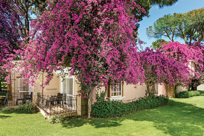 Maritim Pine Beach Resort 17