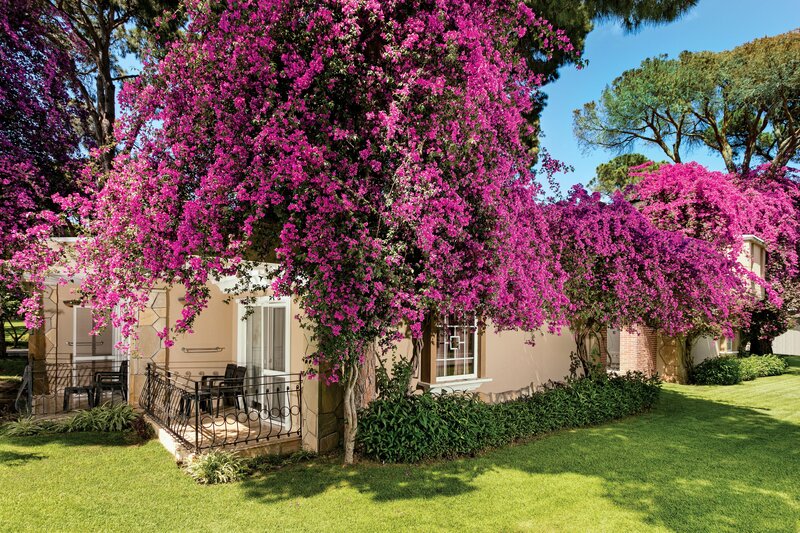 Maritim Pine Beach Resort 90