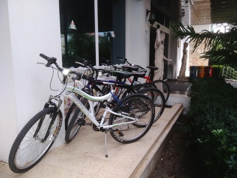 Pine House by Werde Hotels 20