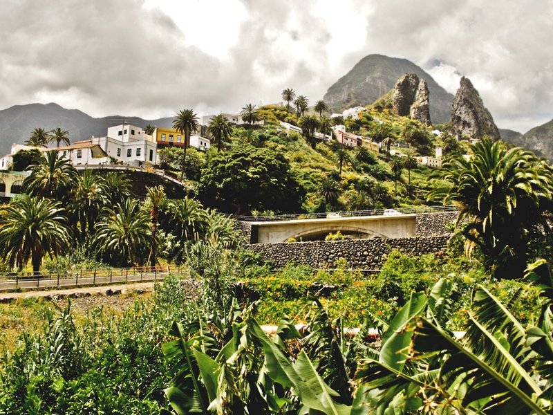 Finca Pinero 3