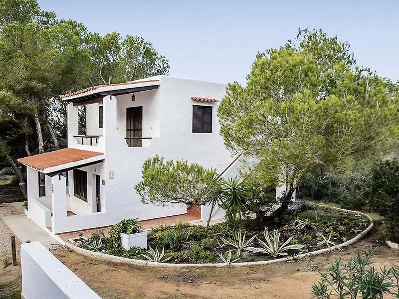 Pinomar 3