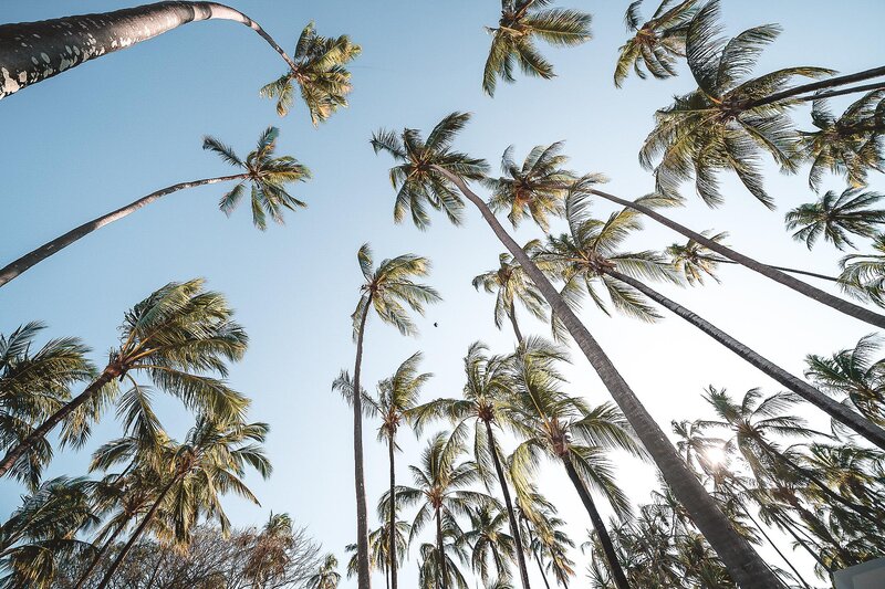 ananea Diamonds Mapenzi 25