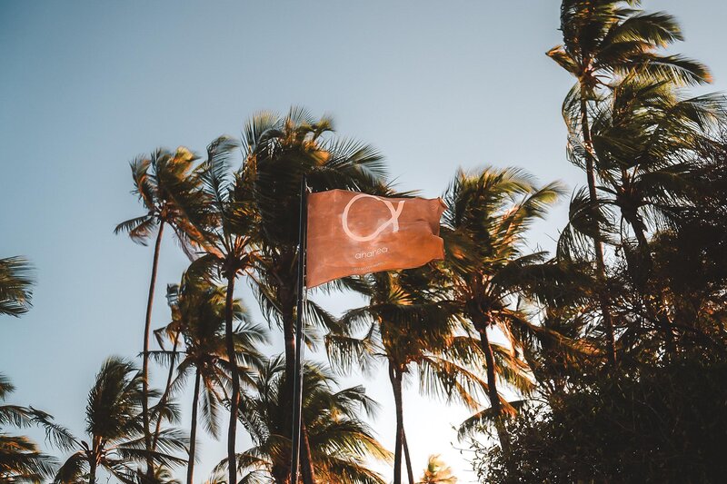 ananea Diamonds Mapenzi 26