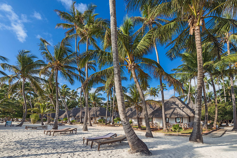 ananea Diamonds Mapenzi 67