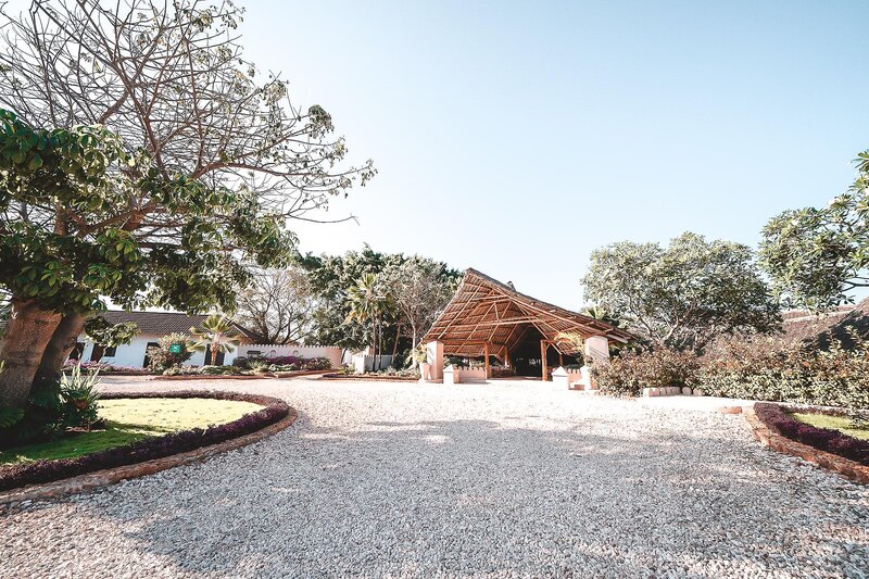 ananea Diamonds Mapenzi 10