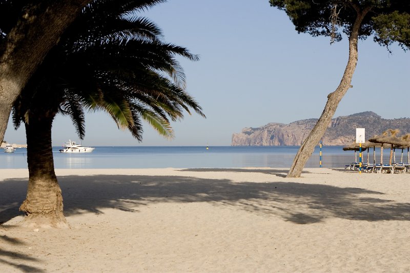 Plazamar Serenity Resort  1