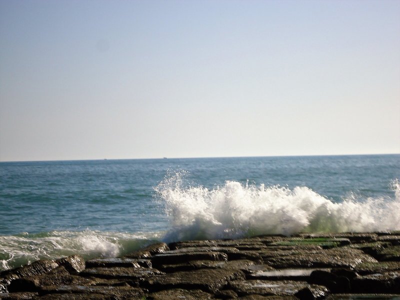 Albufeira Beach Hotel 4