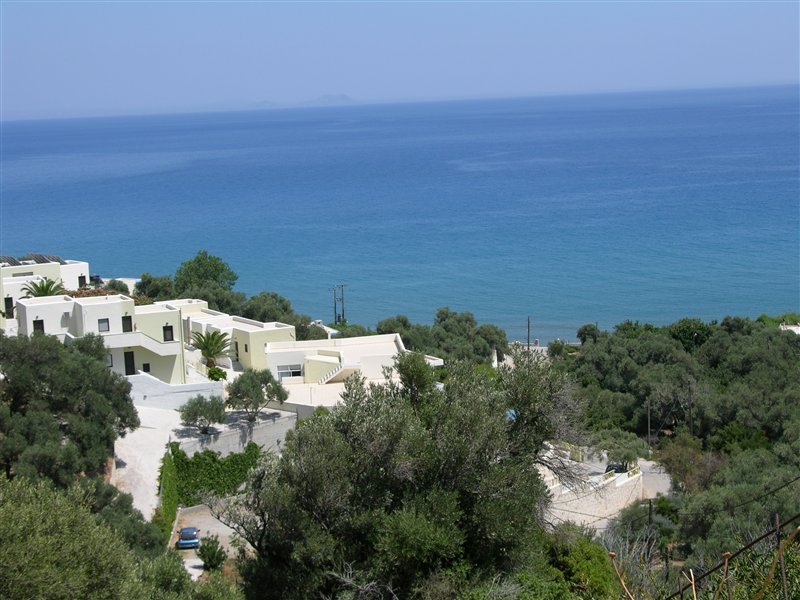 Polyrizos