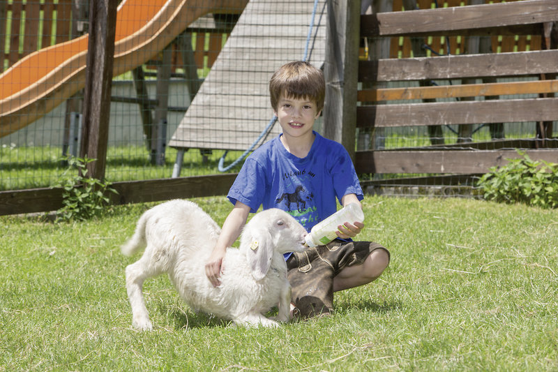 Feriendorf Ponyhof 9