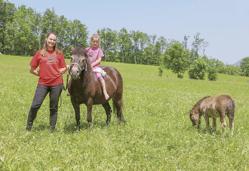Feriendorf Ponyhof 10