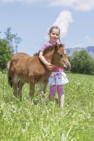Feriendorf Ponyhof 14