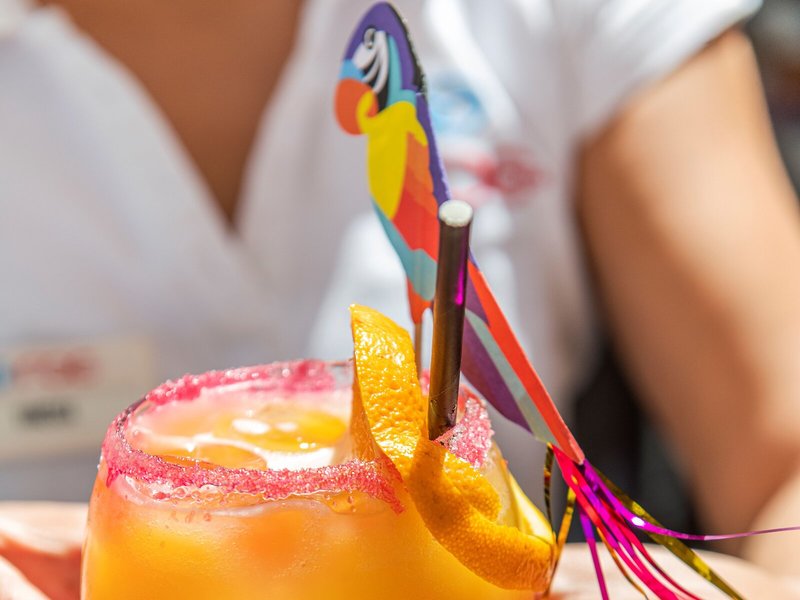 Apartamentos Roc Portonova 30