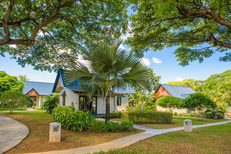 Anelia Resort & Spa 8