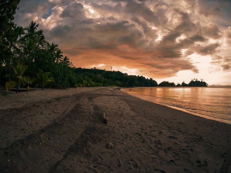 Punta Leona 5