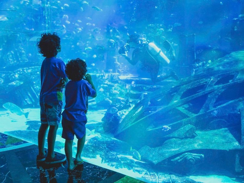 Address Dubai Mall 5