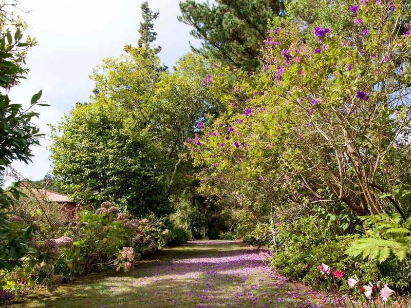 Quinta de Santo Antonio Da Serra 6