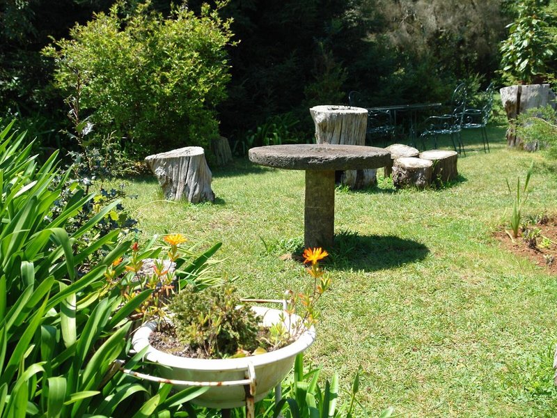 Quinta de Santo Antonio Da Serra 7