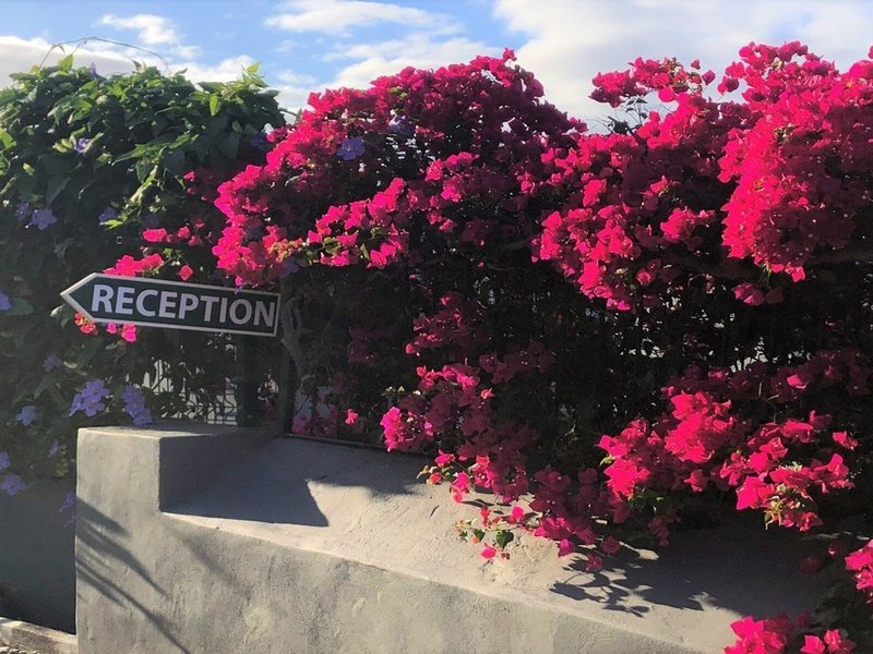 Quinta Mae Dos Homens Garden Village 6