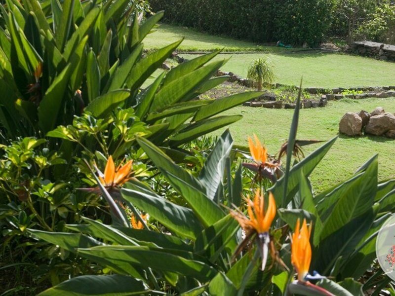 Quinta Mae Dos Homens Garden Village 8