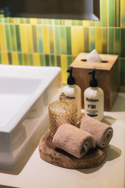 Paradisus Los Cabos 67