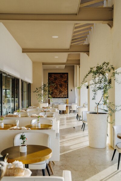 Paradisus Los Cabos 139