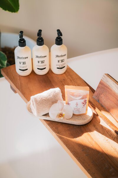 Paradisus Los Cabos 157