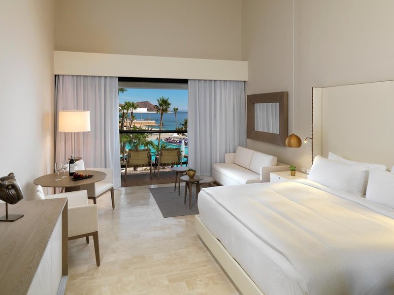 Paradisus Los Cabos - Adults Only 35